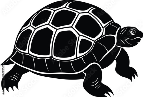 Black and White Turtle Illustration with Detailed Shell Pattern and Gentle Expression on white background