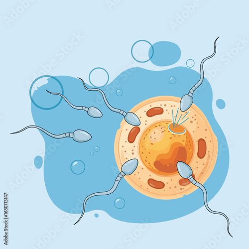 Dynamic fertilization process with sperm approaching egg, symbolizing new life and biology.