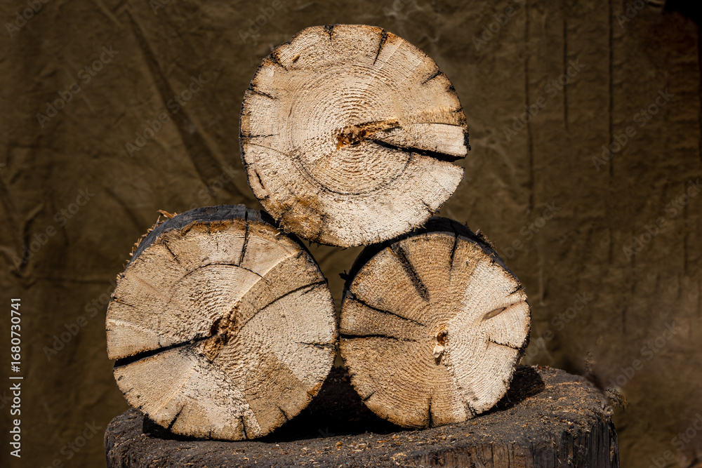 Naklejka premium Wood Logs Ready for Splitting on Tree Stump