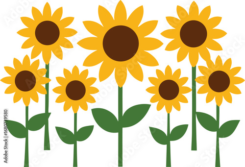 Sunflowers in Bloom A Summer Delight