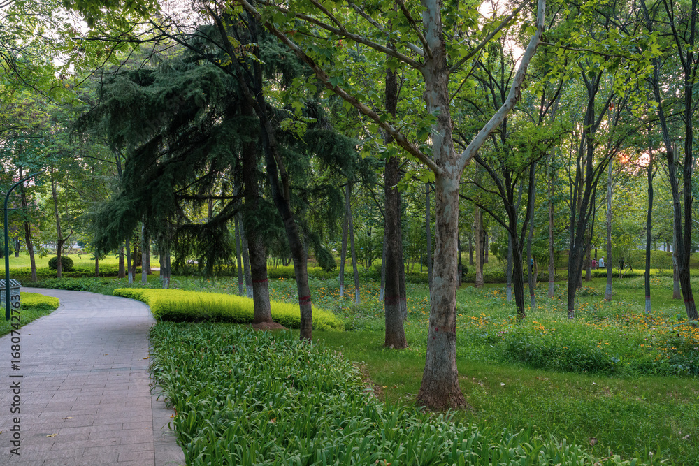 Obraz premium path in the park