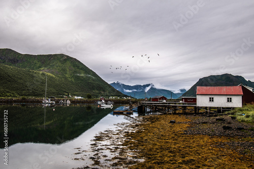 Moody morning by the calm fjord on Senja