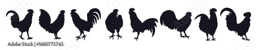 black rooster silhouette vector illustration set isolated