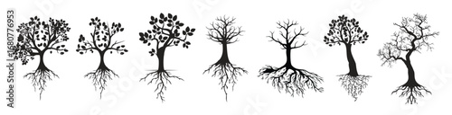 black silhouettes tree with roots vector