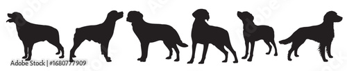 brittany dogs silhouette on white background vector illustration