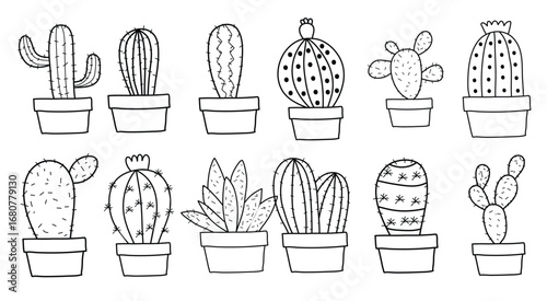 set of cactus vector