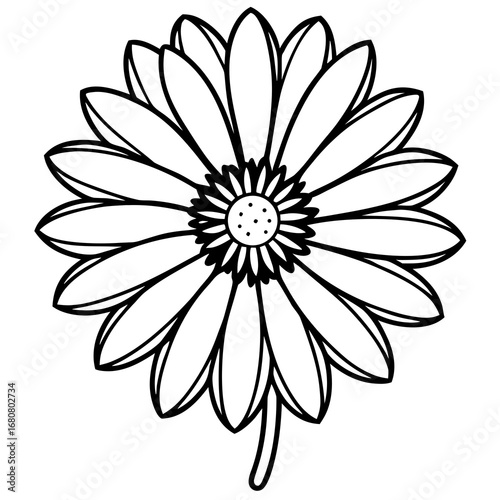 White flower isolated on transparent background