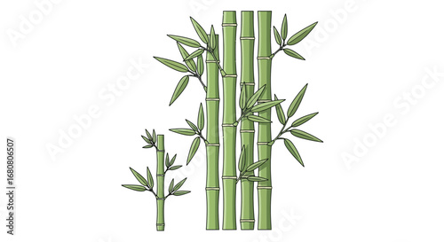 Elegant bamboo illustration with detailed leaves and vibrant green stems