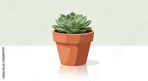 Isolated succulent plant in a terracotta pot, simple still life illustration