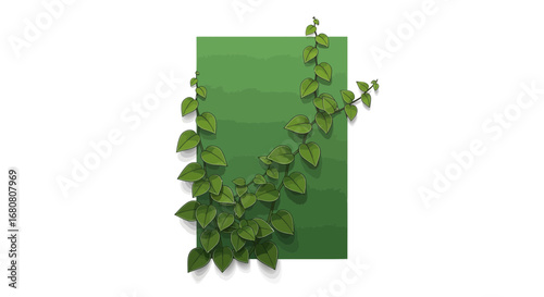 Lush ivy climbing over textured green surface illustration for botanical design