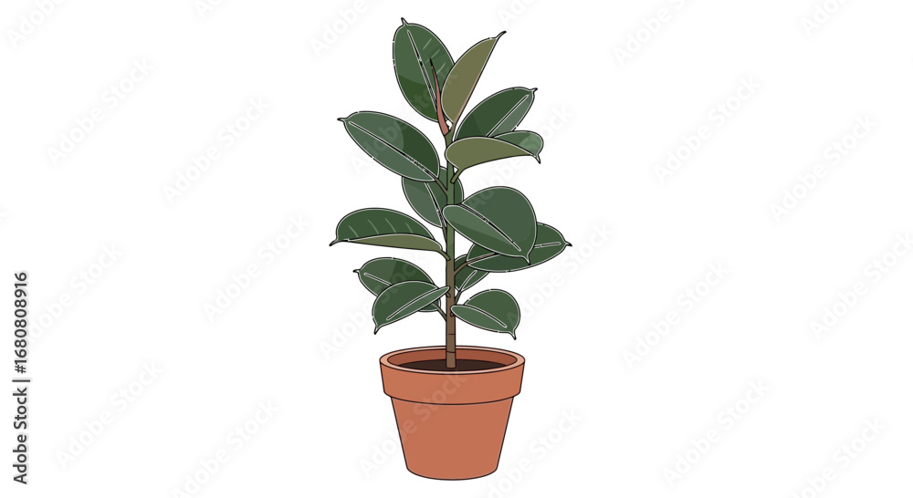 Fototapeta premium Stylized Rubber Plant Illustration in Brown Pot on a White Background