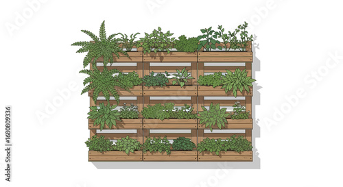 Vertical Garden Illustration with Wooden Pallets and Various Greenery