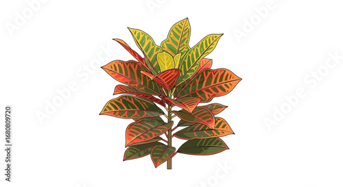 Vibrant tropical croton plant illustration with bold colors and intricate patterns