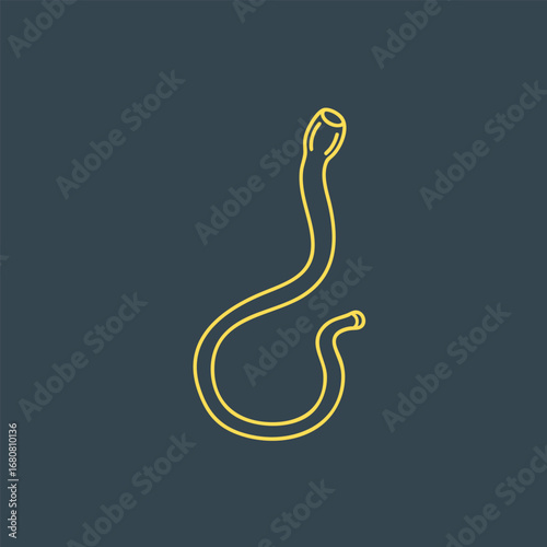 A simple yellow outline of a snake on a dark background, showcasing its curved body and head, suitable for educational use