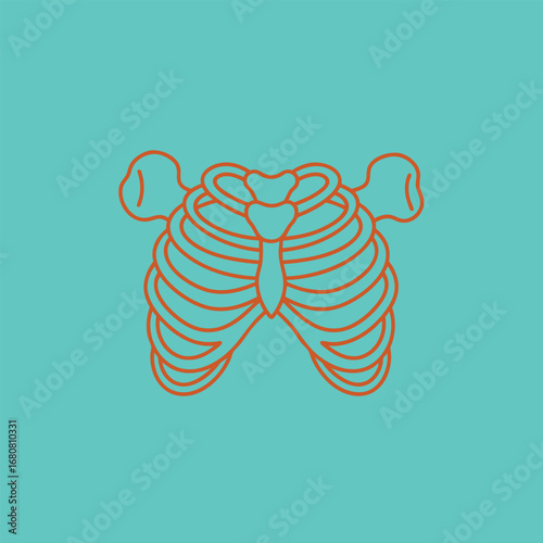 Stylized illustration of a human ribcage on a bright turquoise background, showcasing anatomical features for educational use