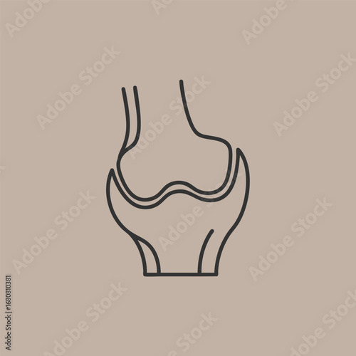 Minimalistic illustration of a knee joint anatomy, showcasing structure and function for educational purposes