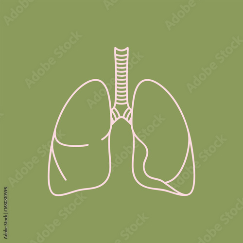 Minimalistic illustration of human lungs on a muted green background, symbolizing health and respiratory awareness