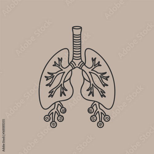 Artistic illustration of human lungs with detailed bronchi and alveoli on a soft pastel background, suitable for educational use