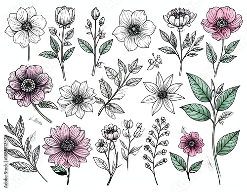 I see your new image — this one looks like a  sketch or ink drawing of flowers with selective coloring added to some blossoms and leaves.