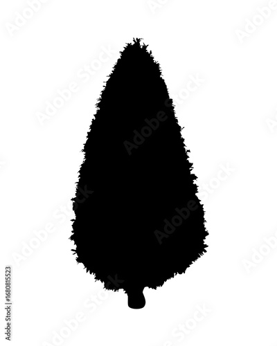 Tree silhouette Isolated on white background
