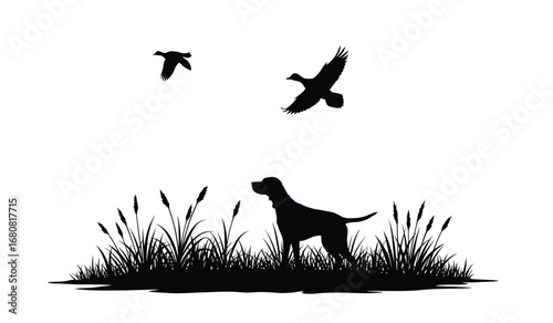 Silhouette of a pointer dog in tall grass pointing at two flying birds in a field during a hunting expedition