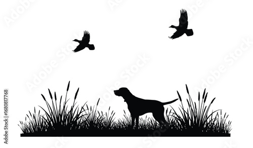 Silhouette of a hunting dog standing alert in tall grass with two birds flying overhead in a clear sky during a hunting expedition