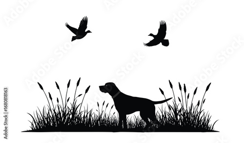 Silhouette of a pointer dog standing in tall grass with two birds flying overhead during a hunting scene