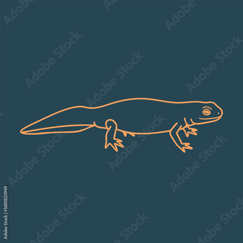 Outline of a salamander walking on a dark background, showcasing its elongated body and limbs in a natural pose