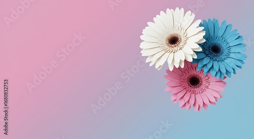Colorful Gerberas on Pastel Background A Vibrant Floral Arrangement for Spring and Summer Projects with Copy Space for Text and Design