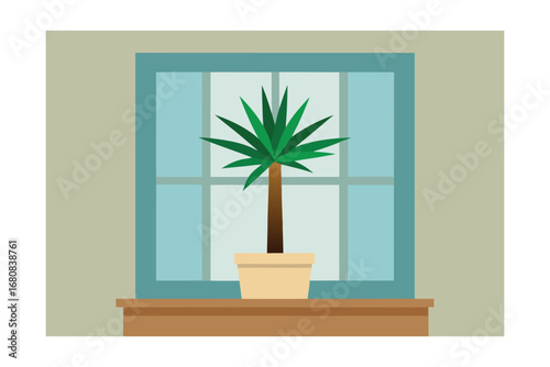 Yucca Bonsai on a Rustic Windowsill