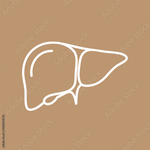 Minimalist illustration of a liver on a neutral background, symbolizing health and wellness in medical contexts