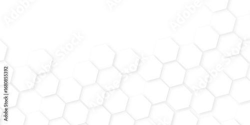 Abstract background with hexagon, modern abstract vector polygonal pattern. Futuristic honeycomb mosaic white background,white and gray hexagon honeycomb geometric copy space.