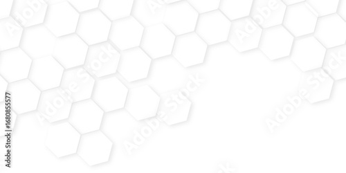 Abstract background with hexagon, modern abstract vector polygonal pattern. Futuristic honeycomb mosaic white background,white and gray hexagon honeycomb geometric copy space.