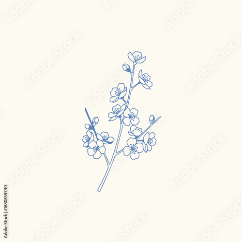 Delicate blue floral illustration featuring a branch with blooming flowers against a soft beige background
