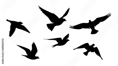 Birds in flight and perched flying silhouette