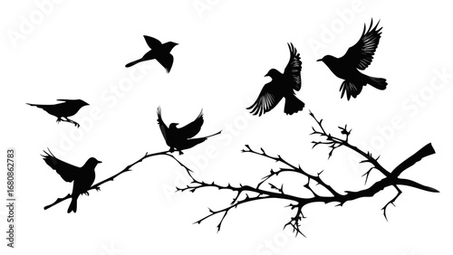 Birds in flight and perched on branches silhouette