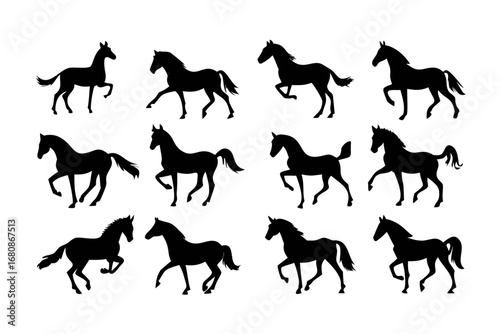 Vector art of diverse horse silhouettes, showcasing the elegance and versatility of these magnificent creatures in motion