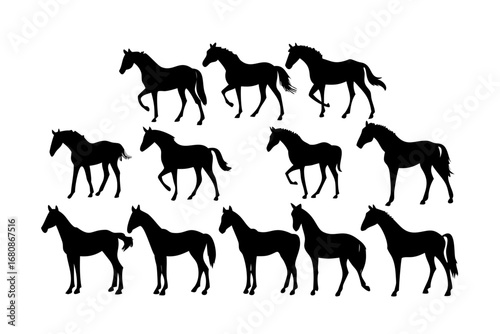 Vector art of a collection of horse silhouettes in various poses, showcasing different gaits and stances of these majestic animals