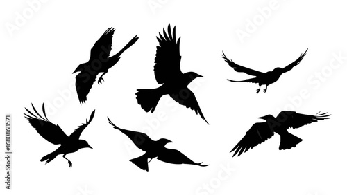 Flock of Crows in Flight black birds