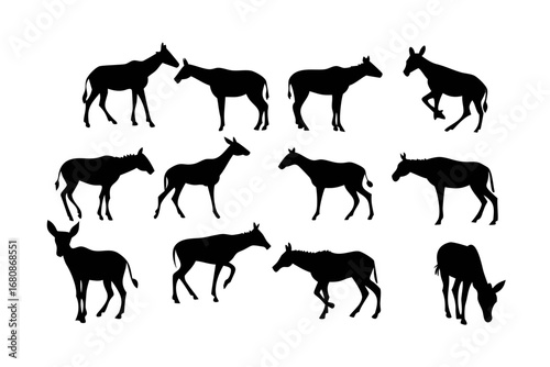 Vector art of silhouette of a group of donkeys, showcasing various poses and representing themes of nature, farm life, and animal behavior