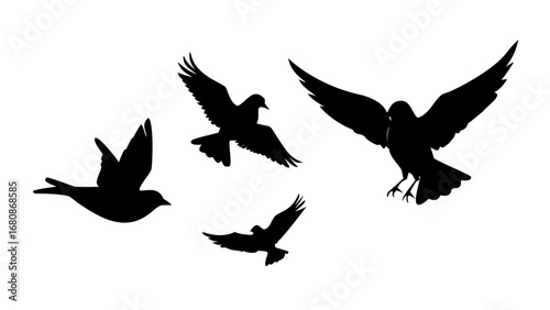 Flying Sparrows Silhouette birds illustration