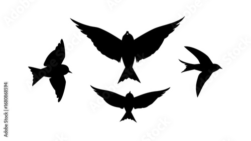 Flying Sparrows Silhouette birds illustration