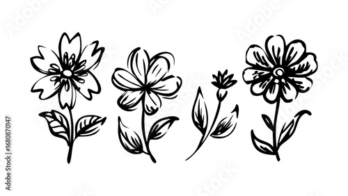 Hand Drawn Ink Flowers and Leaves floral botanical
