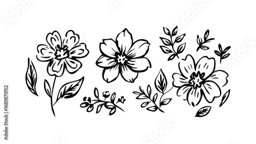 Hand Drawn Ink Floral Elements flowers leaves