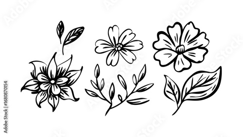 Hand Drawn Ink Flowers and Leaves floral botanical