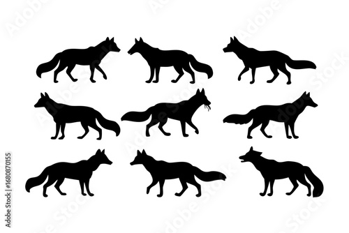 Vector art of set of fox silhouettes in different positions, capturing the essence of this cunning and adaptable creature in black and white