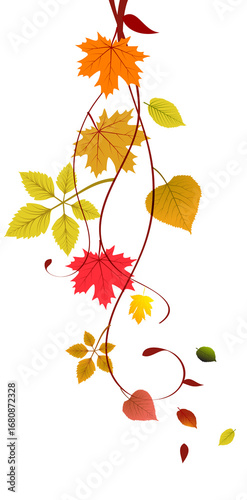 Colorful autumn leaves with curling stems illustration
