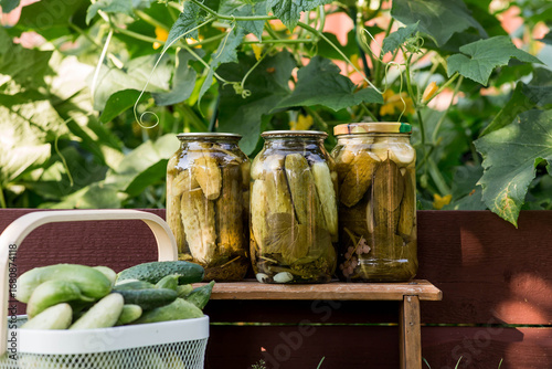 Fresh cucumbers in a basket and crispy pickled cucumbers in a transparent glass jar. Pickled cucumbers with dill and garlic. Delicious canned vegetables. Cucumbers for the winter.