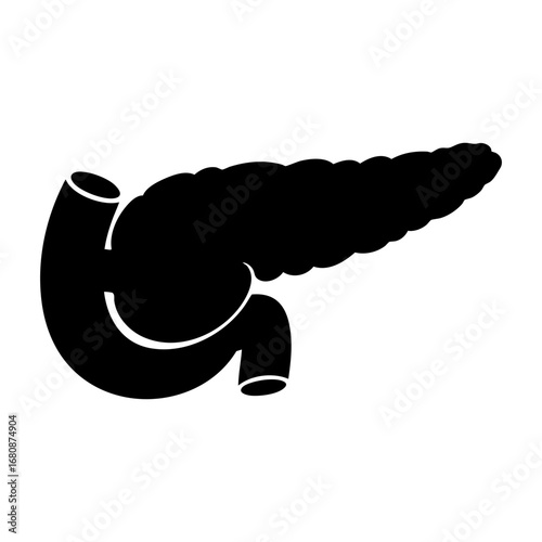 pancreas human body part