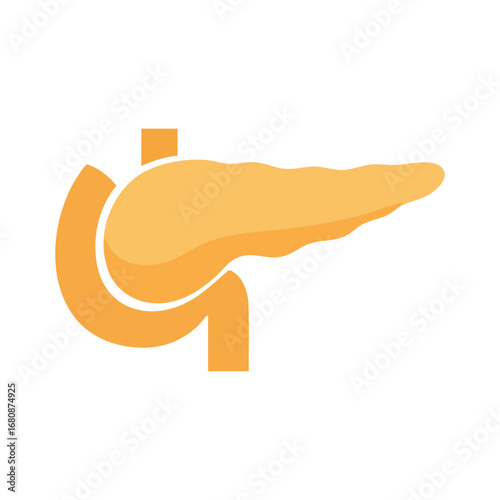 pancreas human body part